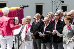 20170520_Dag-van-de-Zeesleepvaart_Maassluis_MedRes__023